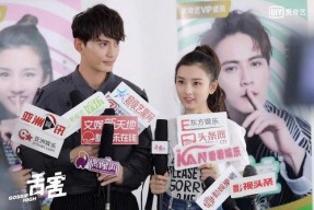 娱乐圈网剧,娱乐圈的崛起与变革