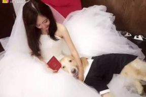 女主播与狗狗的种子,萌宠相伴，快乐无限