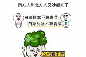 搞笑版南北,搞笑版南北大战笑料百出