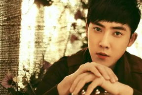 4月21日出生的明星,揭秘4月21日出生的璀璨明星