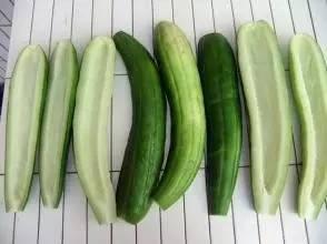 娱乐吃瓜酱浙江